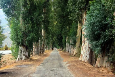 Marmaris Datça Dalyan Tatili (3 Gece Konaklamalı) — Görsel 11